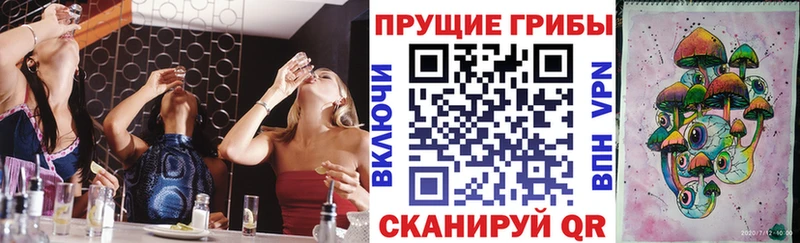 Псилоцибиновые грибы мухоморы наркота hydra ССЫЛКА Тихорецк