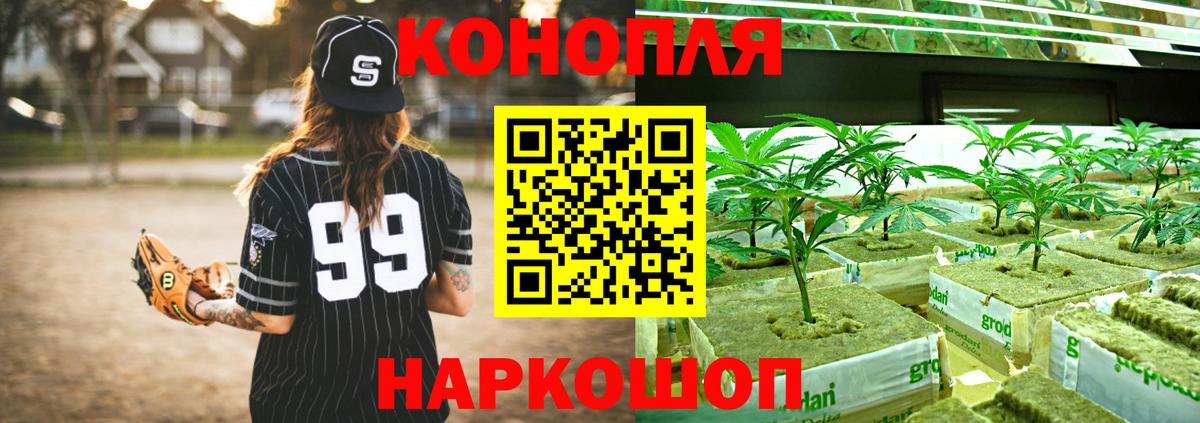 Бошки марихуана семена Тихорецк